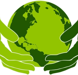 Krok w kierunku zrównoważonego rozwoju: Eko życie i świadoma konsumpcja